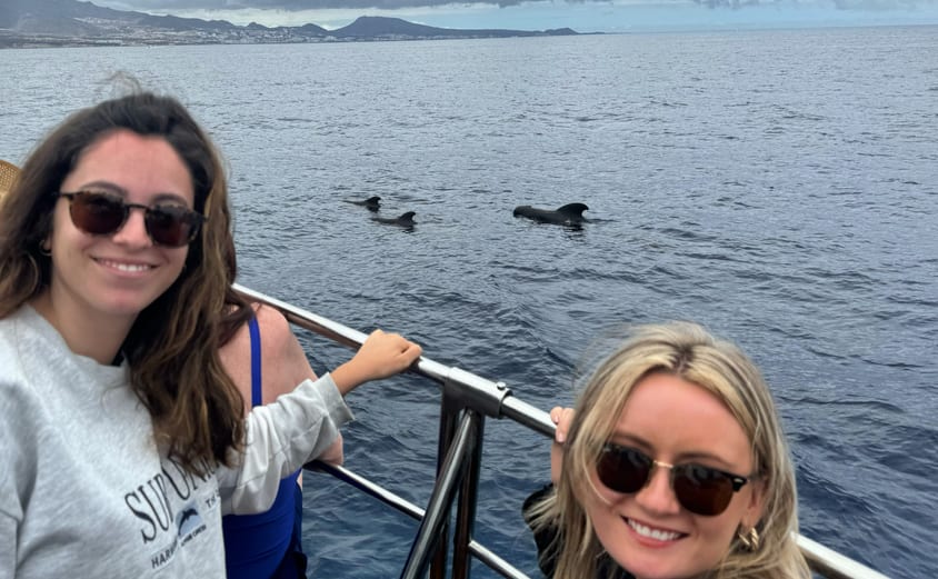 707 FBB6 F 3 C4 E 4 F74 A9 BA 52 DE4 F72 B670