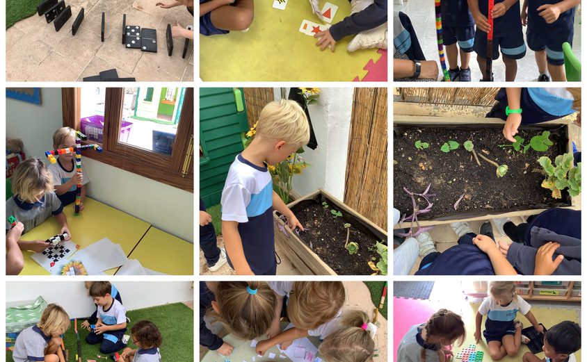 Be Funky collage 2021 10 08 T083558 866