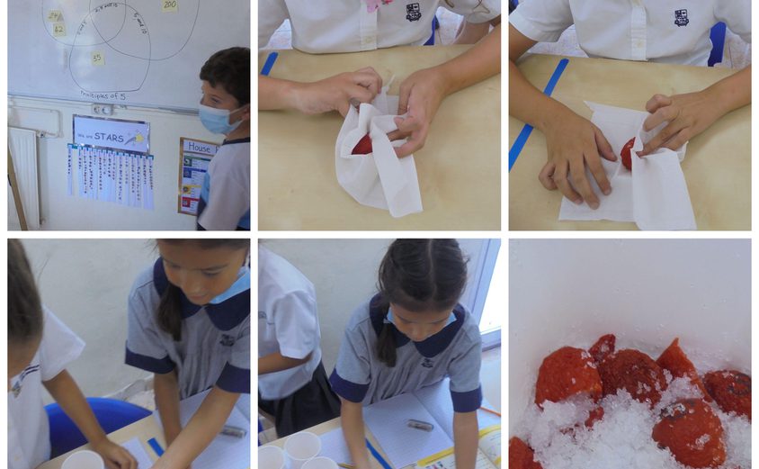 Be Funky collage 2021 10 08 T091813 684