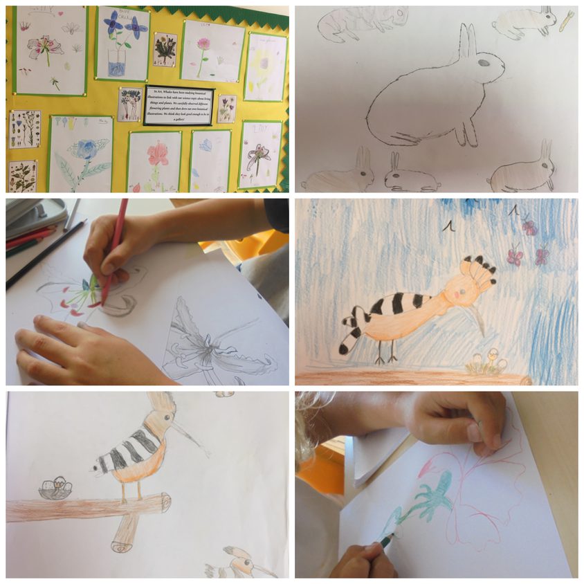 Be Funky collage 2021 10 08 T092341 548