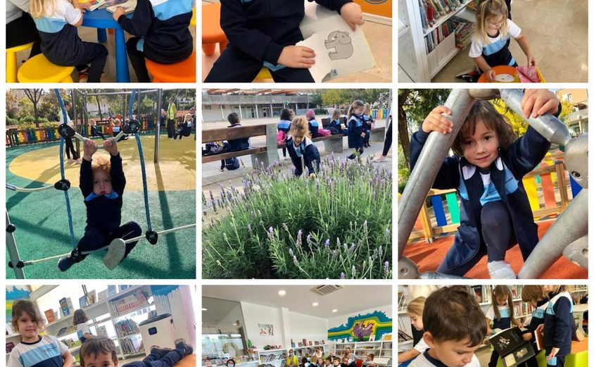 Be Funky collage 2021 11 26 T112246 770