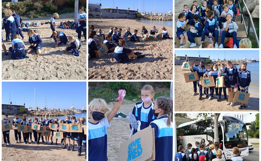 Be Funky collage 2021 11 26 T122800 355