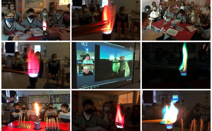 Be Funky collage 2021 11 26 T123320 918