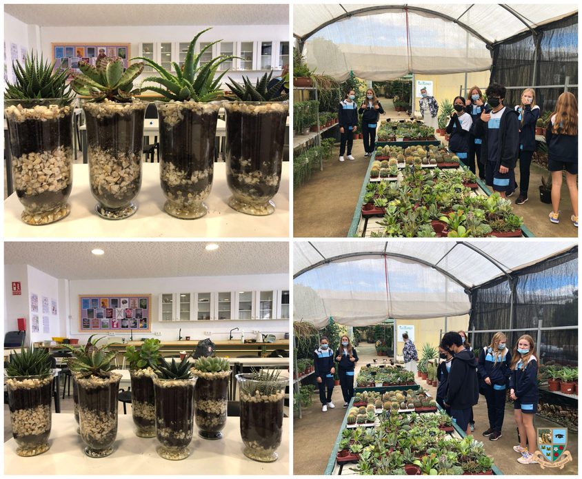 Be Funky collage 2021 11 26 T124039 783