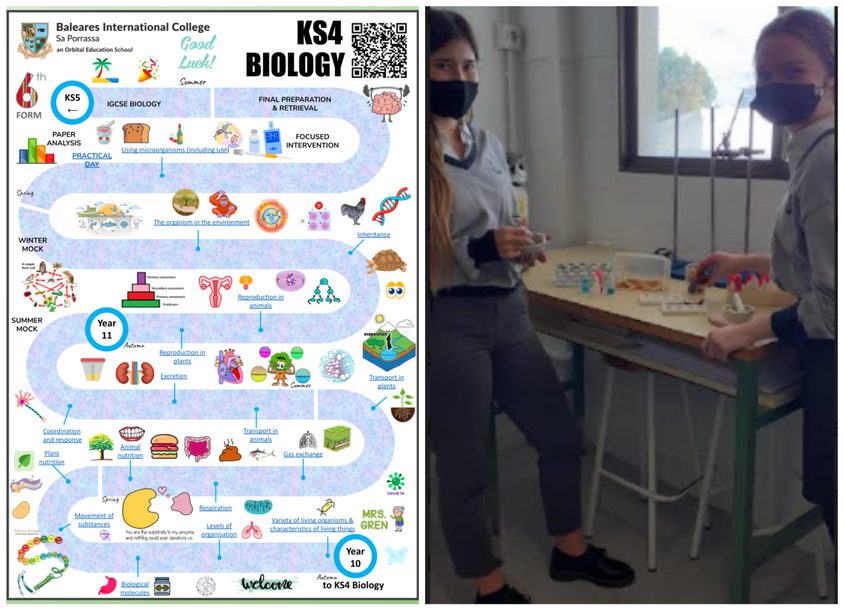 Be Funky collage 2021 11 26 T130334 013