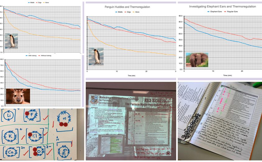 Be Funky collage 2021 11 26 T130518 089