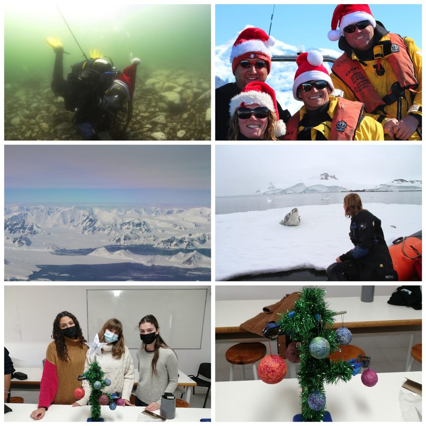 Be Funky collage 2021 12 17 T082816 399