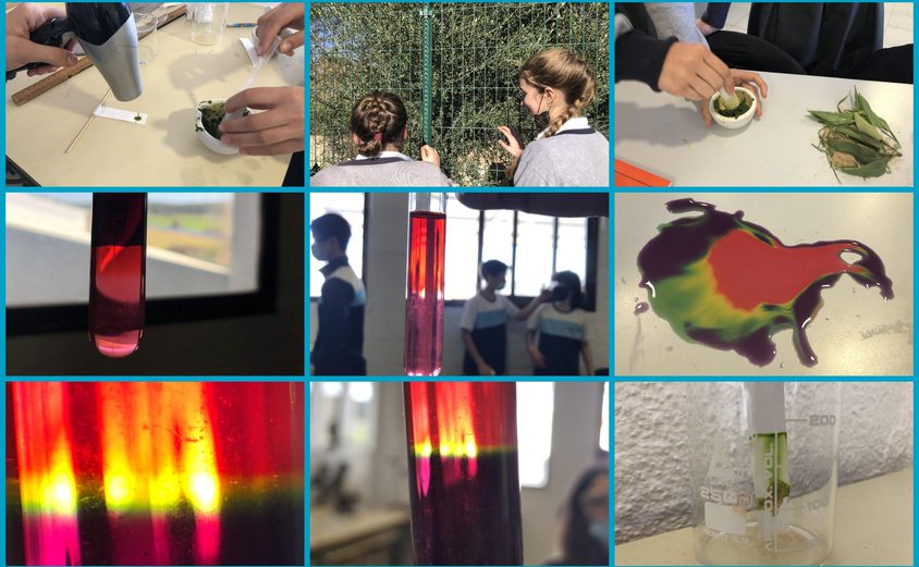 Be Funky collage 2022 02 18 T105544 642