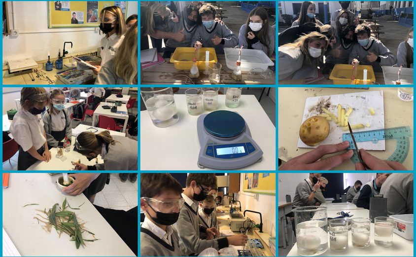 Be Funky collage 2022 02 18 T105753 905