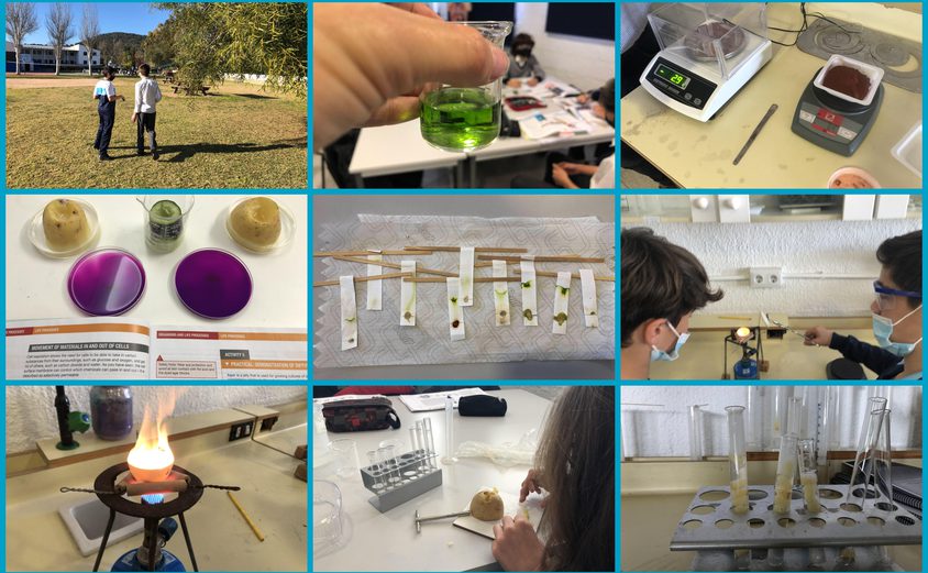 Be Funky collage 2022 02 18 T105851 387