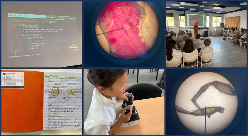 Be Funky collage 2022 09 16 T105718 070