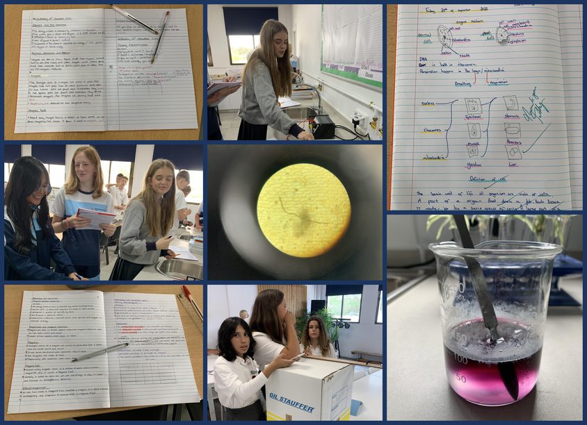 Be Funky collage 2022 09 30 T111152 417