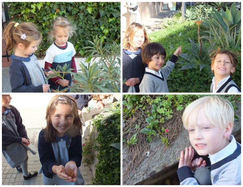 Be Funky collage 2023 01 20 T120545 028