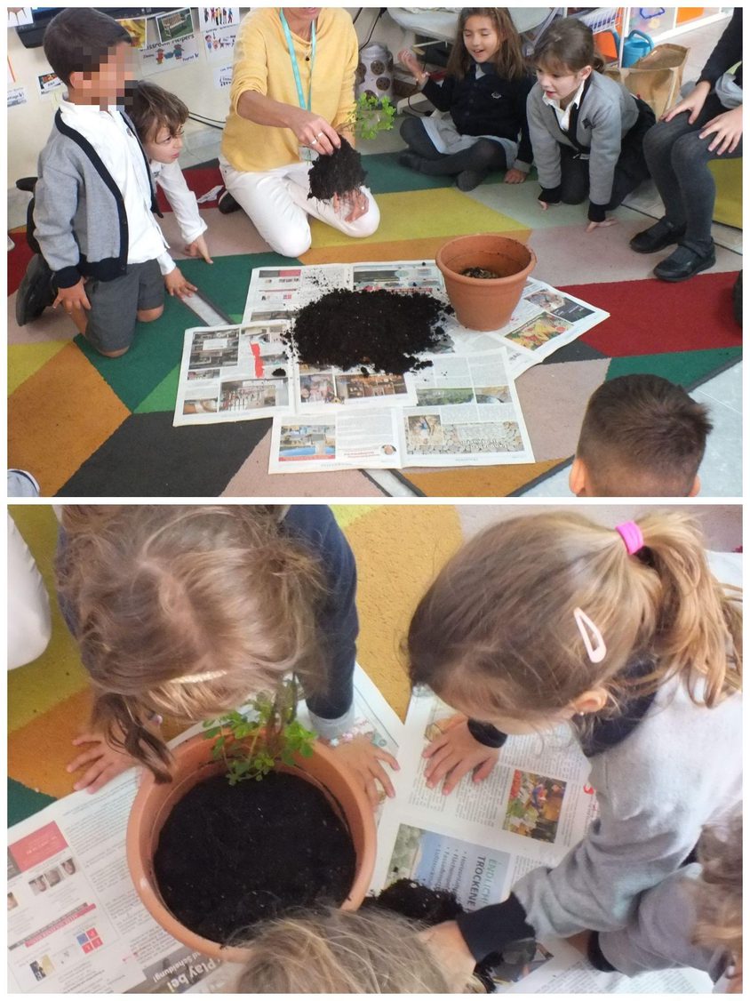 Be Funky collage 2023 01 20 T120624 519 censored