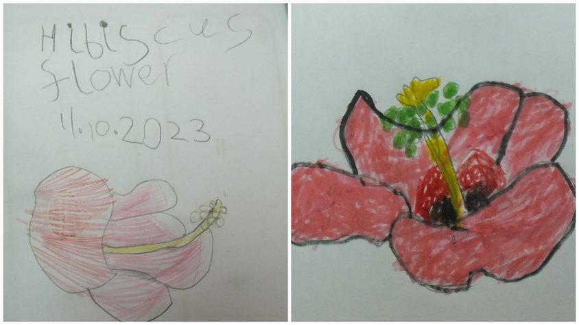 Be Funky collage 2023 01 20 T120706 832