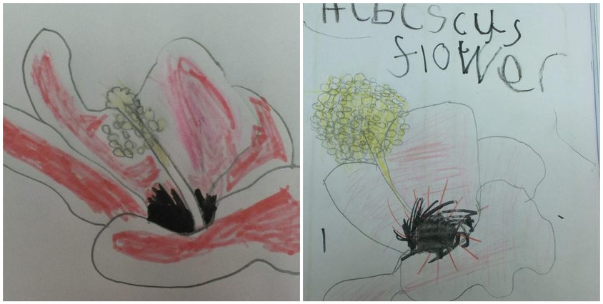 Be Funky collage 2023 01 20 T120725 130