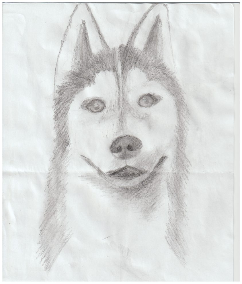 Be Funky collage 2023 01 20 T121609 185