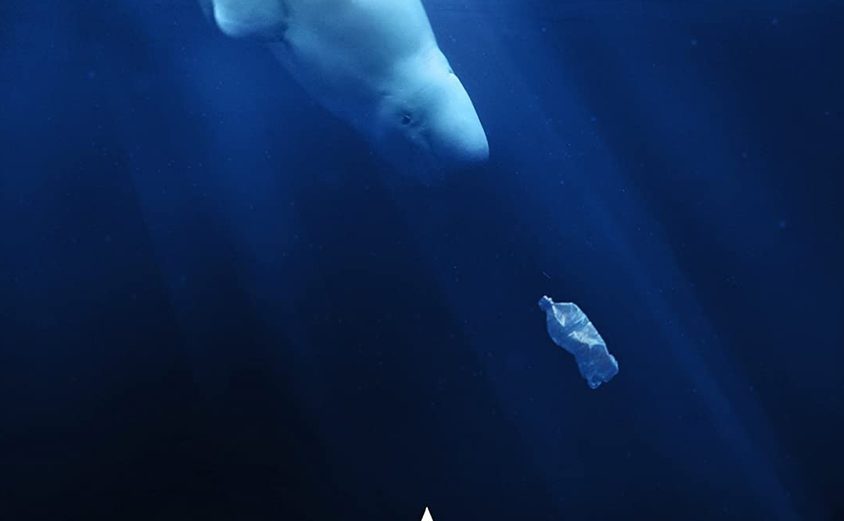 71 Izx Y9 Sud L Sl1500