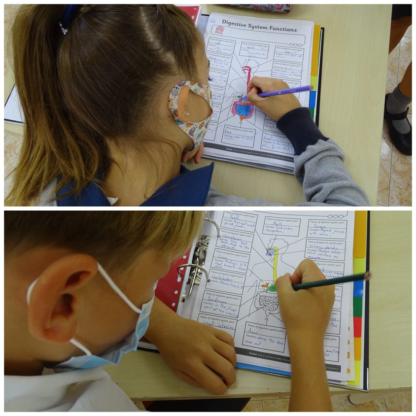 Be Funky collage 2020 09 25 T105326 446