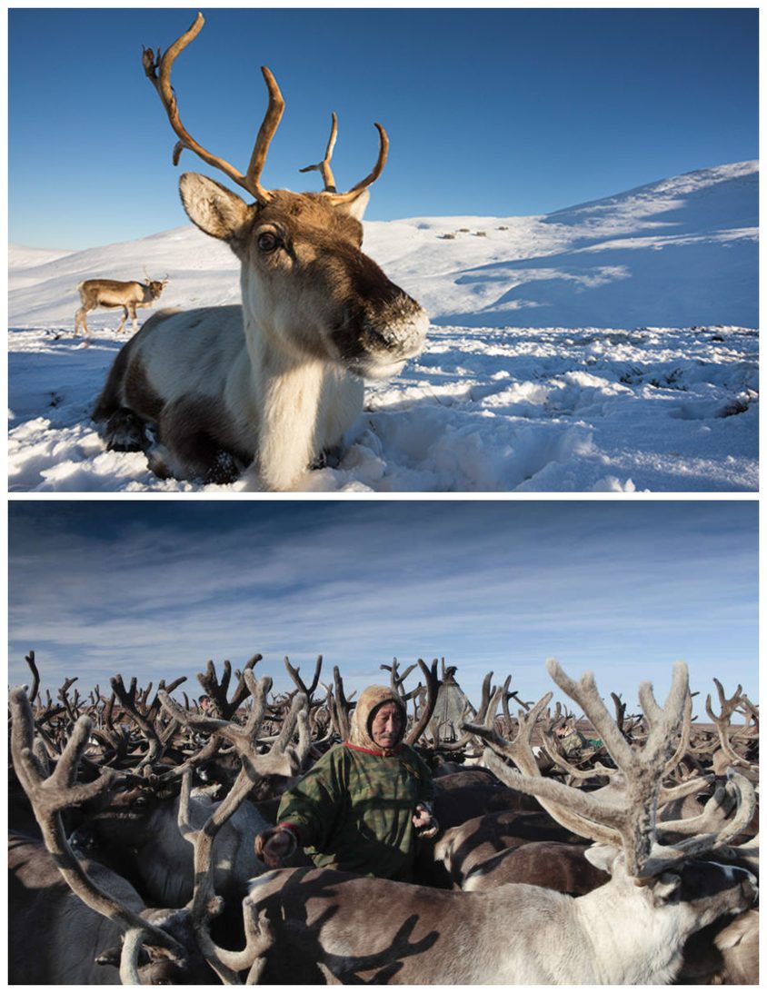 Be Funky collage 2020 12 18 T121832 145