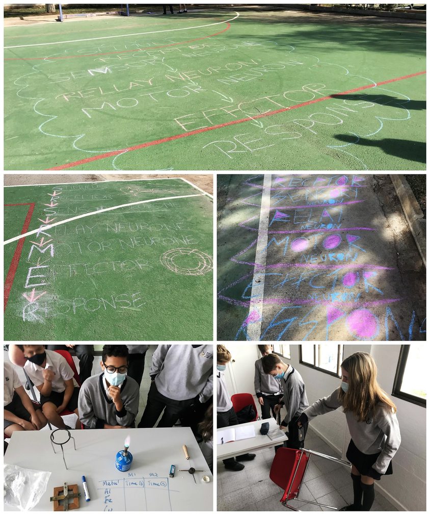 Be Funky collage 2021 02 05 T111211 997