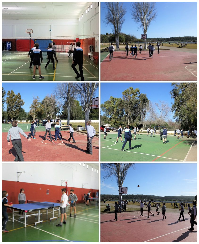 Be Funky collage 2021 02 05 T113014 788