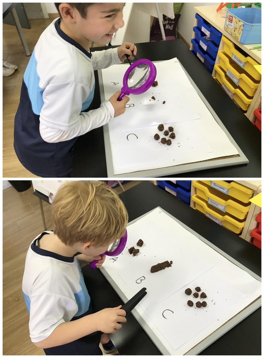 Be Funky collage 2021 02 12 T104415 944