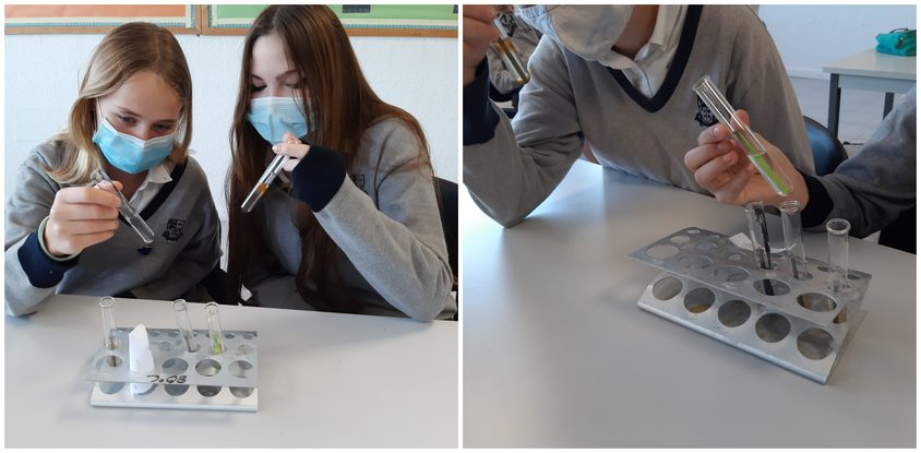 Be Funky collage 2021 02 26 T122547 140