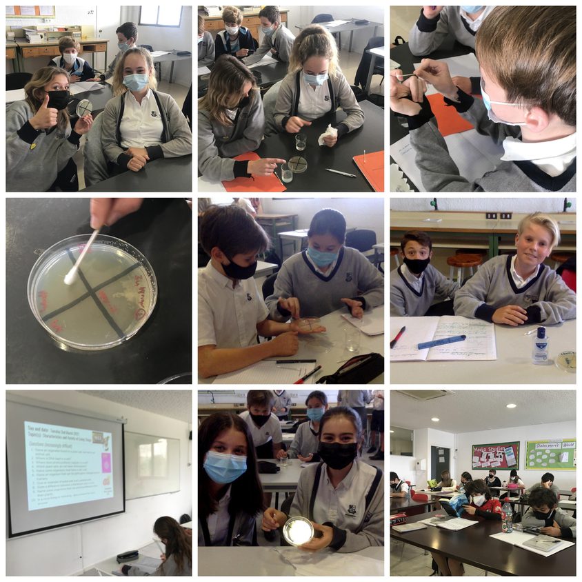 Be Funky collage 2021 03 05 T113944 939