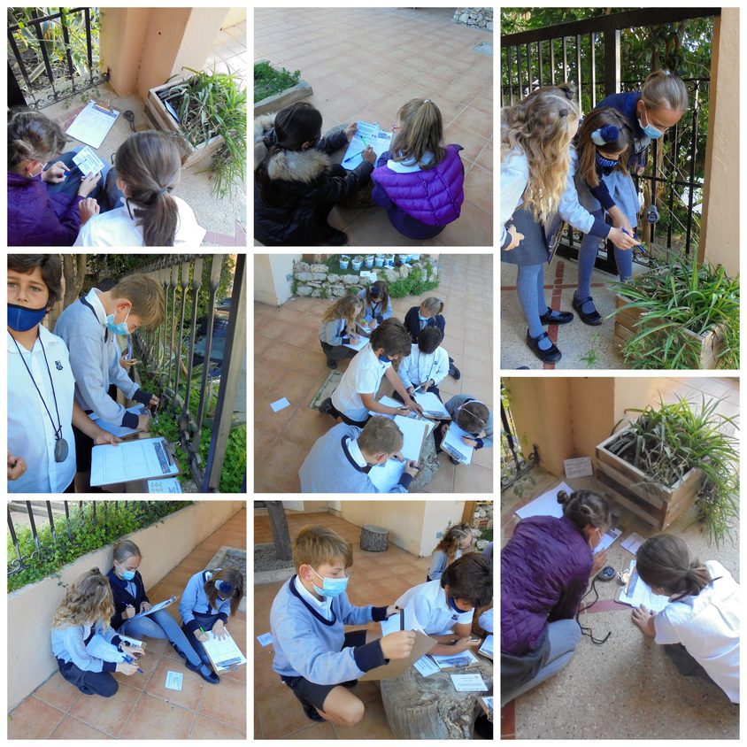 Be Funky collage 2021 03 19 T093221 338