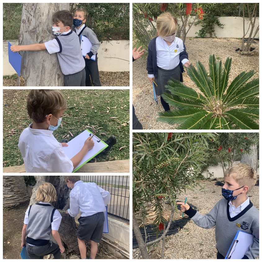 Be Funky collage 2021 04 23 T114124 065