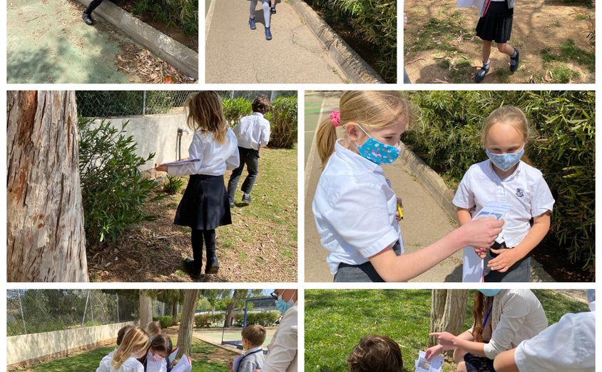 Be Funky collage 2021 04 23 T114234 673