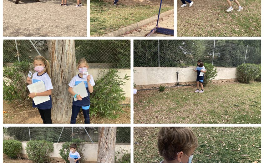 Be Funky collage 2021 04 23 T114300 428