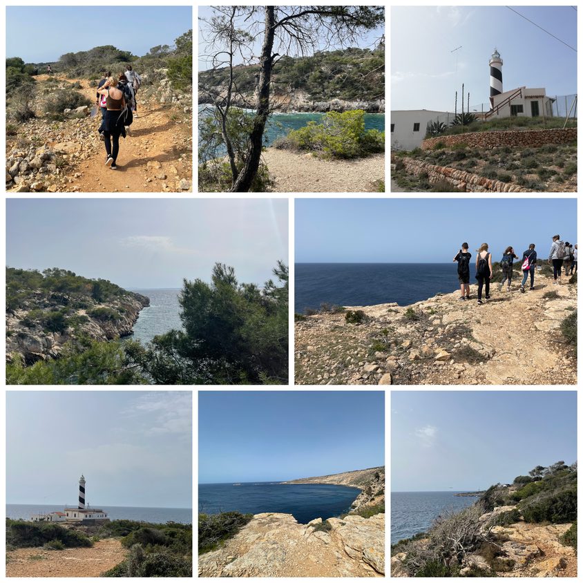 Be Funky collage 2021 04 30 T100558 056