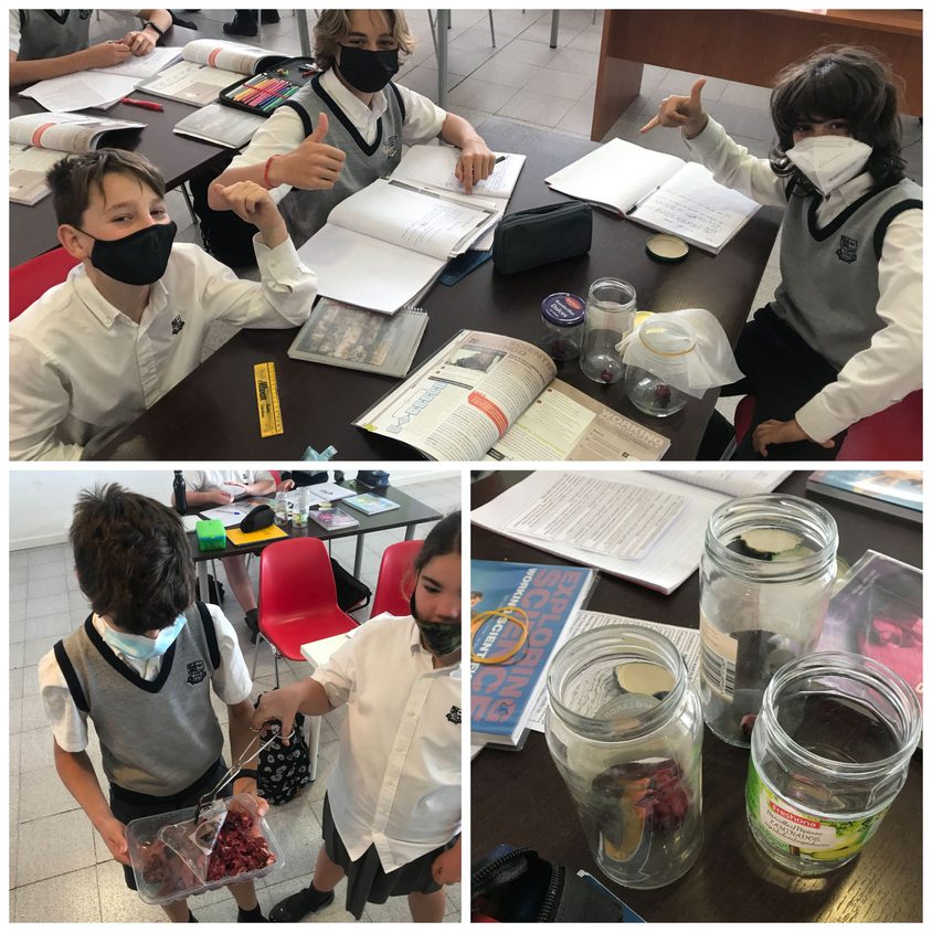 Be Funky collage 2021 04 30 T101101 100