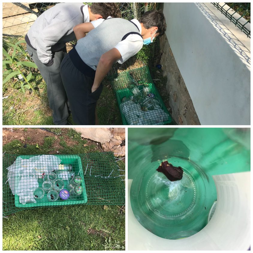 Be Funky collage 2021 04 30 T101525 790