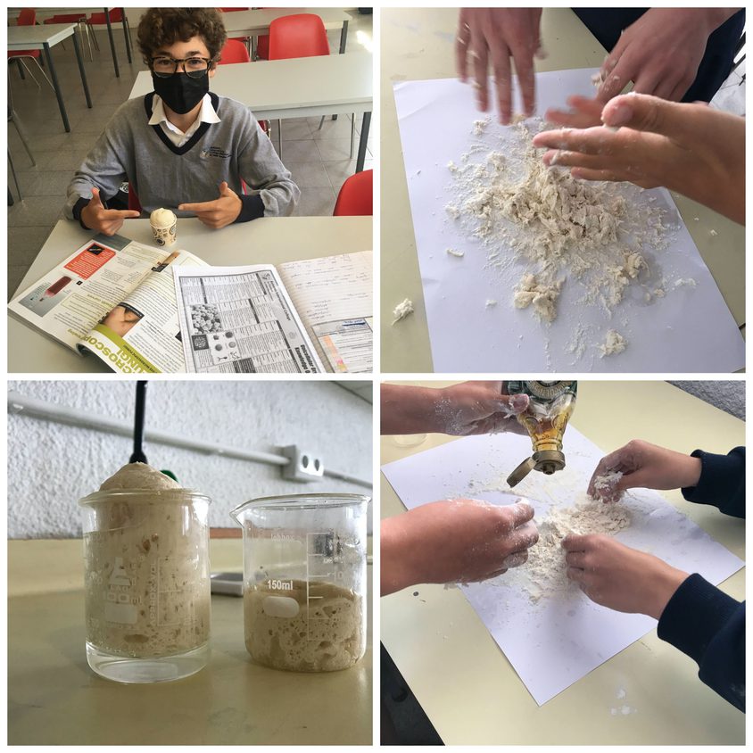 Be Funky collage 2021 04 30 T101804 976