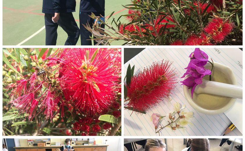 Be Funky collage 2021 04 30 T102113 813