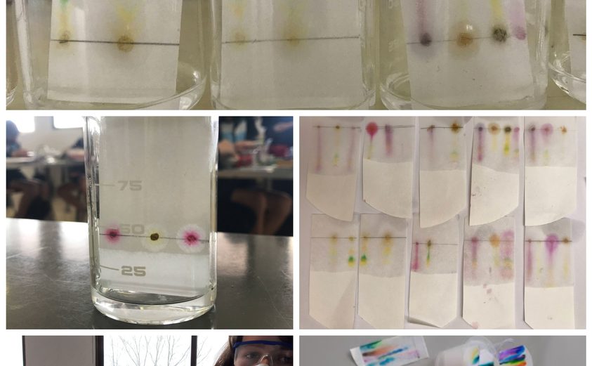 Be Funky collage 2021 04 30 T102204 502