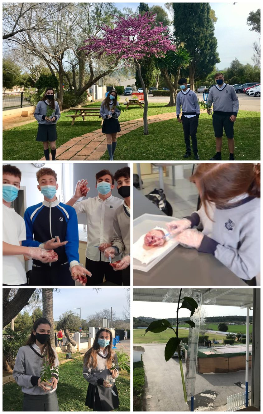 Be Funky collage 2021 04 30 T105334 859