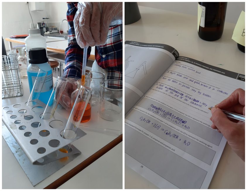 Be Funky collage 2021 04 30 T105601 155