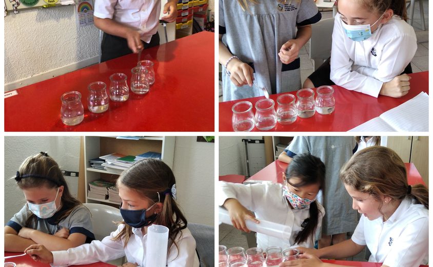 Be Funky collage 2021 04 30 T124115 201