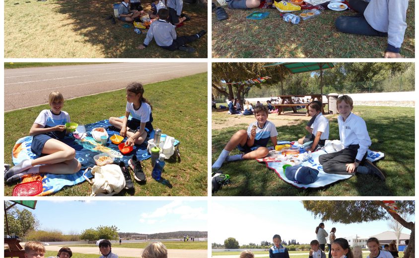 Be Funky collage 2021 04 30 T124238 751