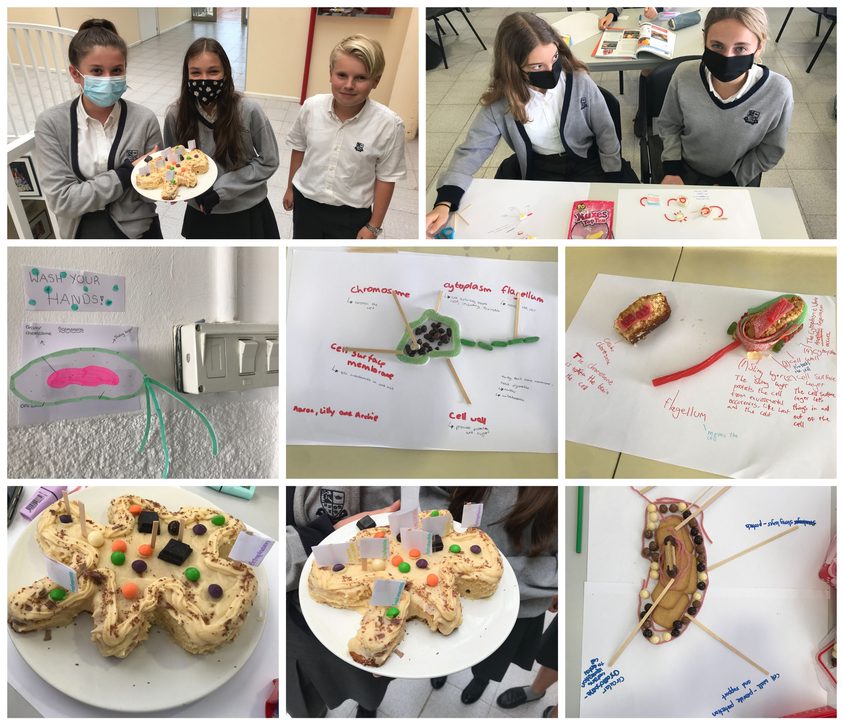 Be Funky collage 2021 05 07 T122517 206