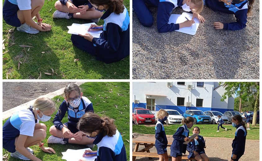 Be Funky collage 2021 05 14 T111923 216