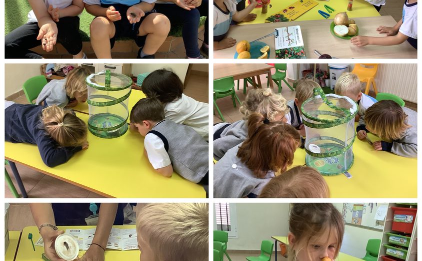 Be Funky collage 2021 06 03 T095337 916