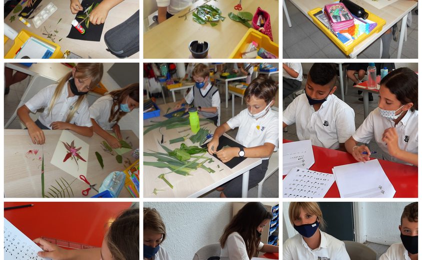 Be Funky collage 2021 06 03 T124029 242