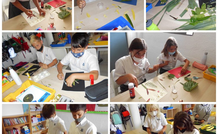 Be Funky collage 2021 06 03 T124113 638