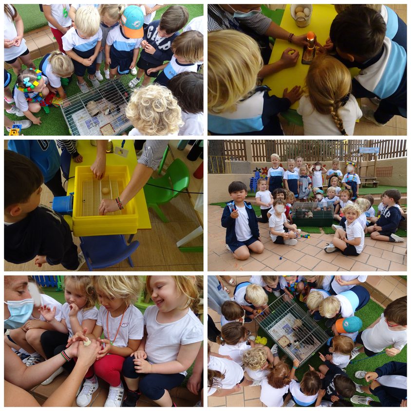 Be Funky collage 2021 06 11 T120051 150