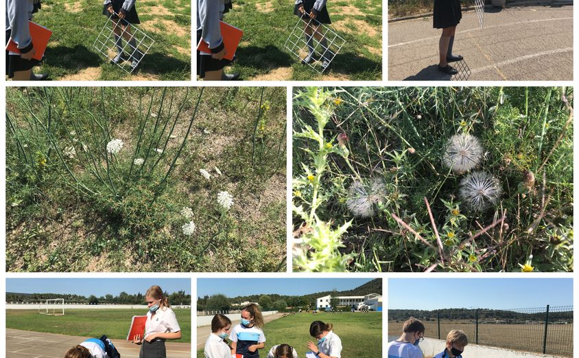 Be Funky collage 2021 06 11 T125837 583